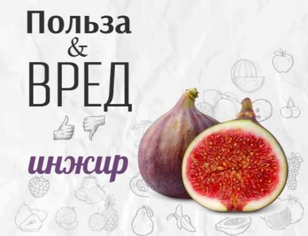 Чем полезен и вреден инжир: вся правда об инжире