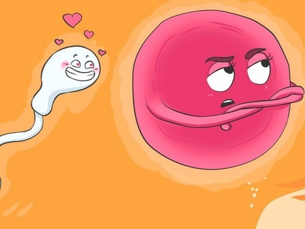 Вчені розповіли, як клітини тіла чоловіка і жінки реагують на взаємну любов